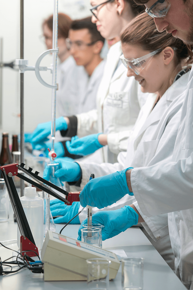 Master en Sciences de l'Ingénieur industriel - orientation Biochimie