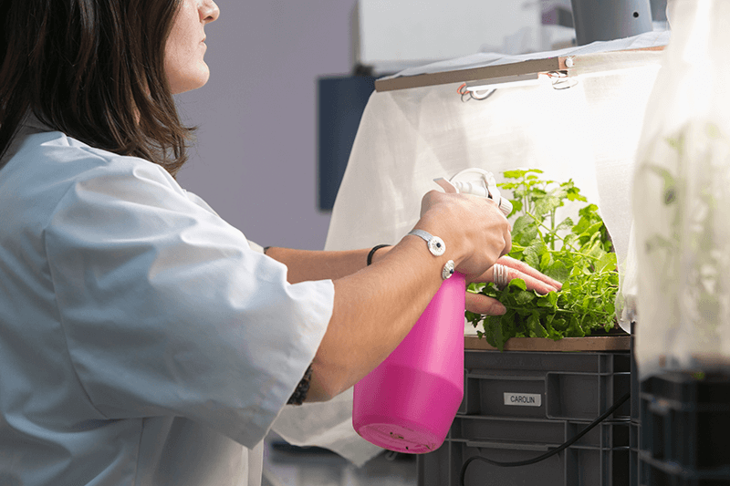 Master en Sciences de l'Ingénieur industriel en agronomie - orientation Environnement - option Horticulture