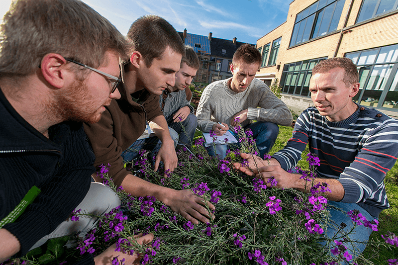 Bachelier Agronome en Techniques et Gestion Horticoles