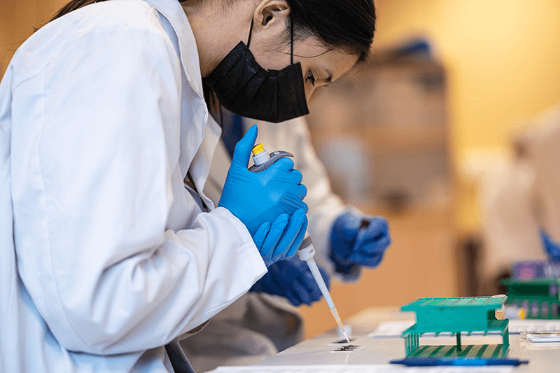 Bachelier en Chimie - orientation Biochimie - option Technologue de laboratoire