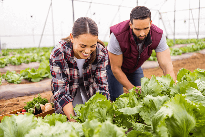 Bachelier Agronome en Systèmes Alimentaires Durables et Locaux (SADL)