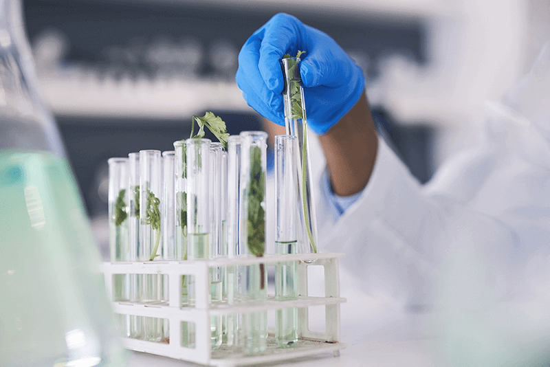 Bachelier en Biotechnique - option Bioélectronique et instrumentation
