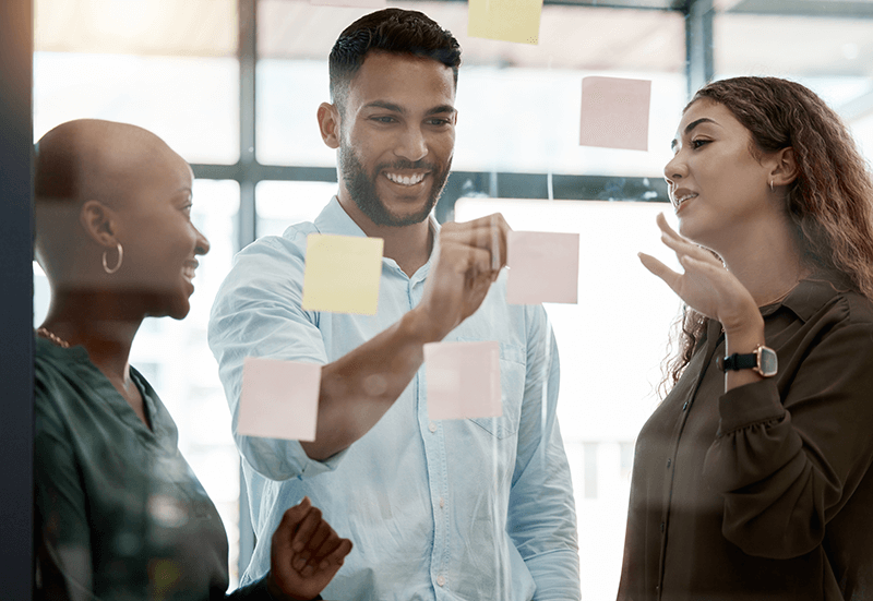 Master en Transitions et Innovations Sociales (METIS)