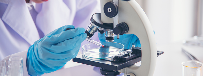 Bachelier Technologue de laboratoire médical - option Chimie clinique