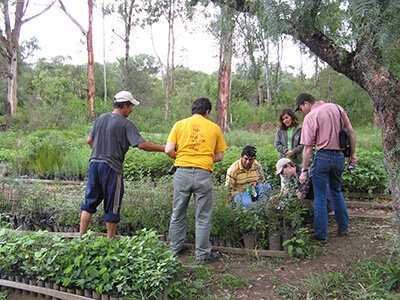 Master en Sciences de l'Ingénieur industriel en agronomie - Orientation agronomie - Option développement international