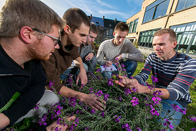Bachelier Agronome en Techniques et Gestion Horticoles
