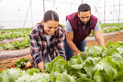 Bachelier en Agronomie - Orientation systèmes alimentaires durables et locaux