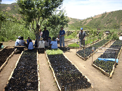 Bachelier en Agronomie - Orientation environnement - option agronomie des régions chaudes