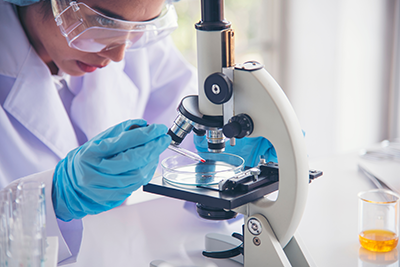 Bachelier Technologue de laboratoire médical - option Chimie clinique