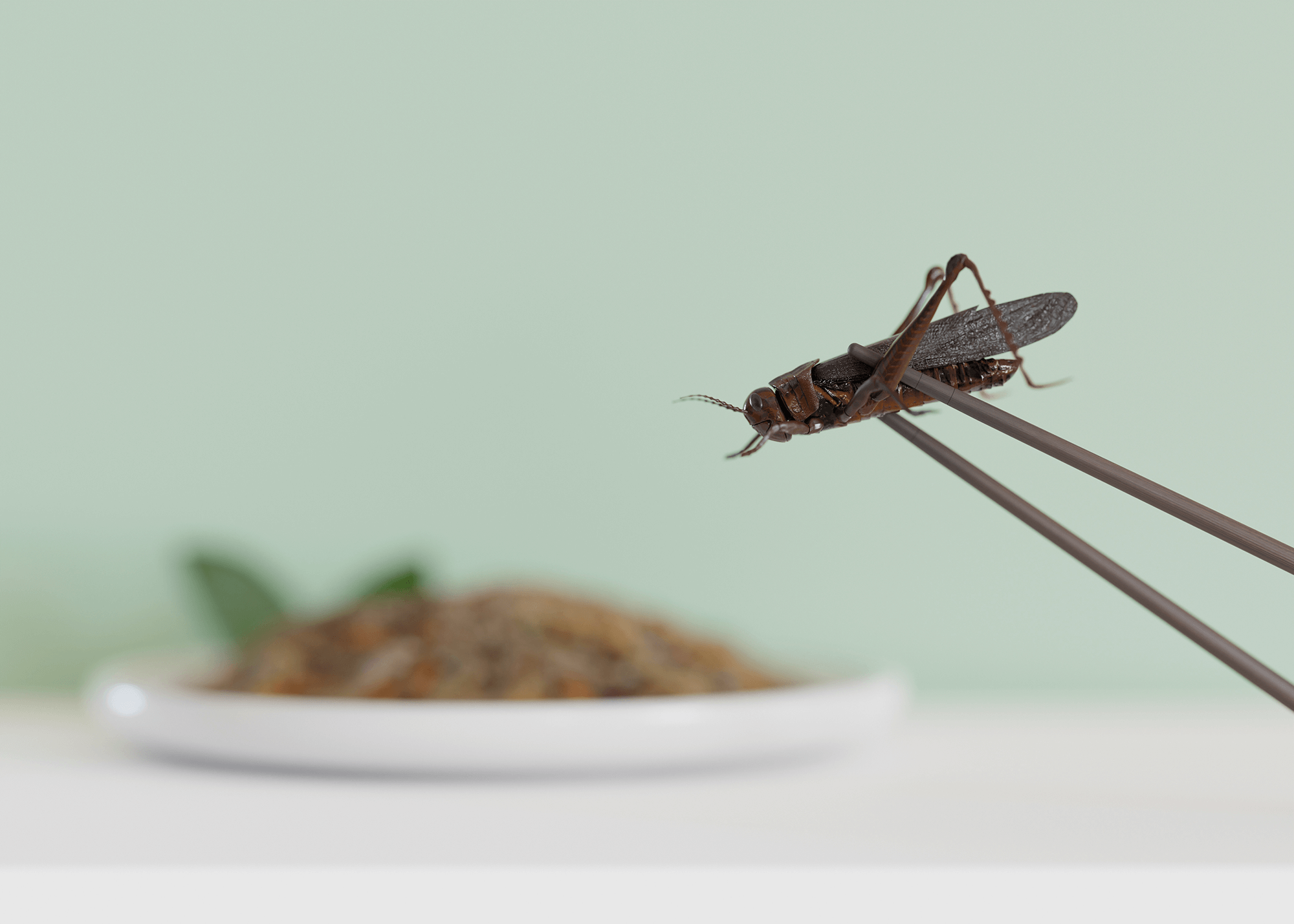 edible insects crickets as snack good source of 2023 02 10 15 27 49 utc2000