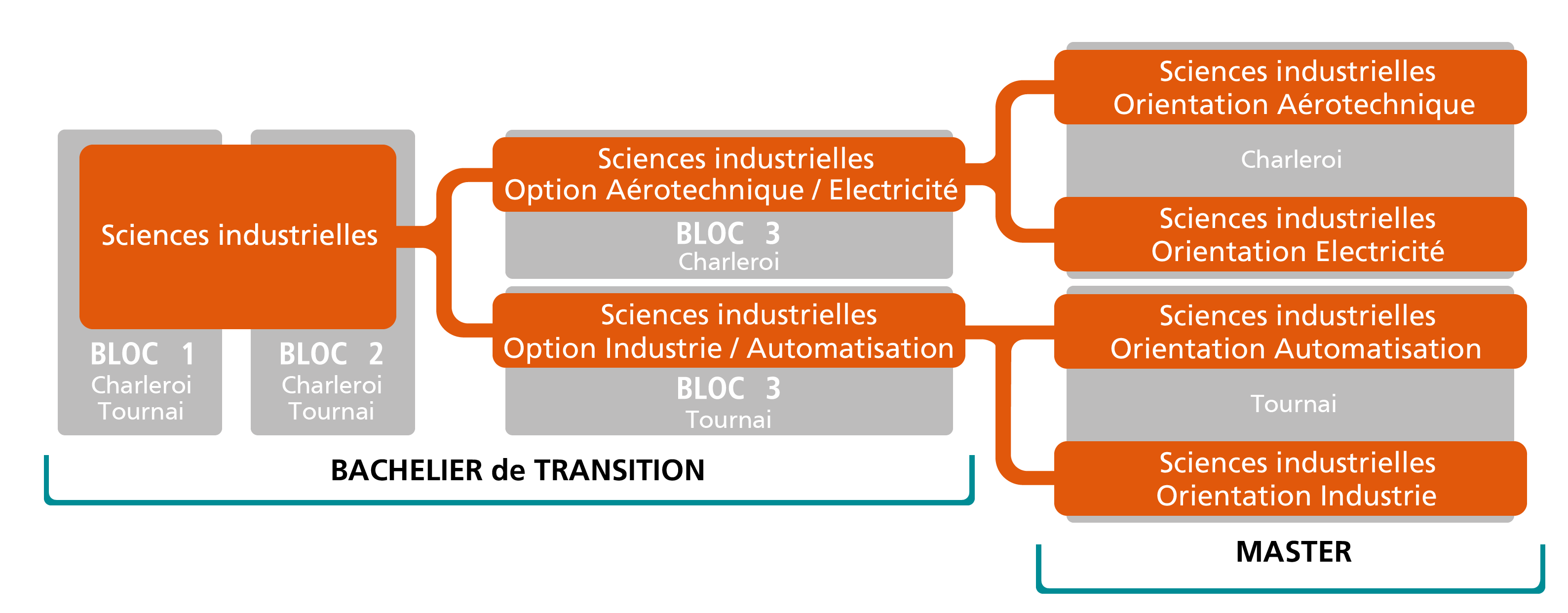 Schema sciences tech transition5