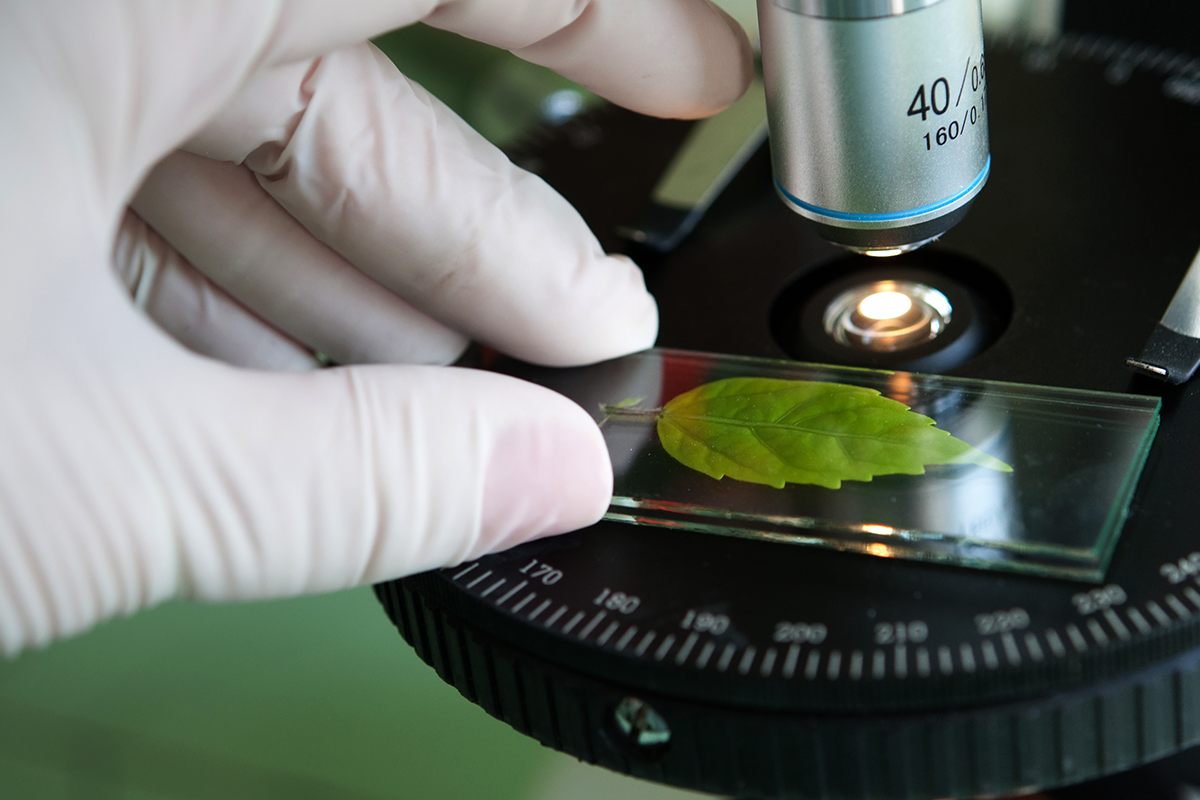 Biotechnologie et biologie appliquée