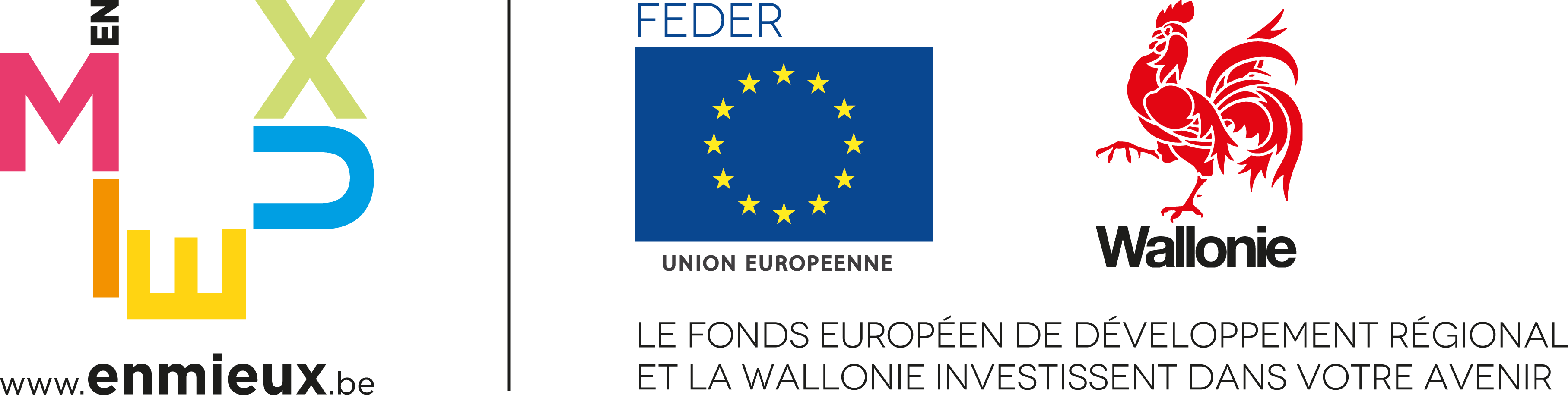 logo FEDERwallonie